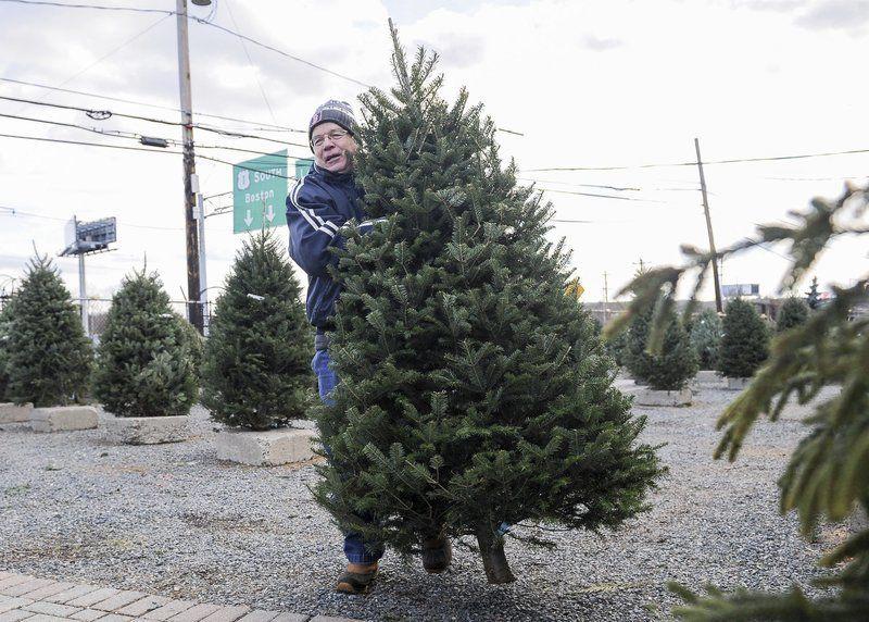 It S A Tight Market For Christmas Trees Local News Salemnews Com