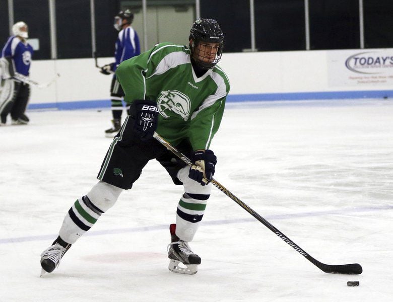 Endicott men's hockey opens season with eyes on the prize | Sports ...