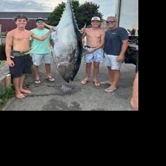 Local teens catch 350-pound tuna