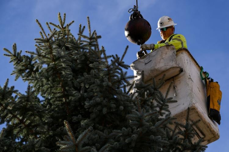 SLIDESHOW Holiday Tree installed in Downtown Danvers Community