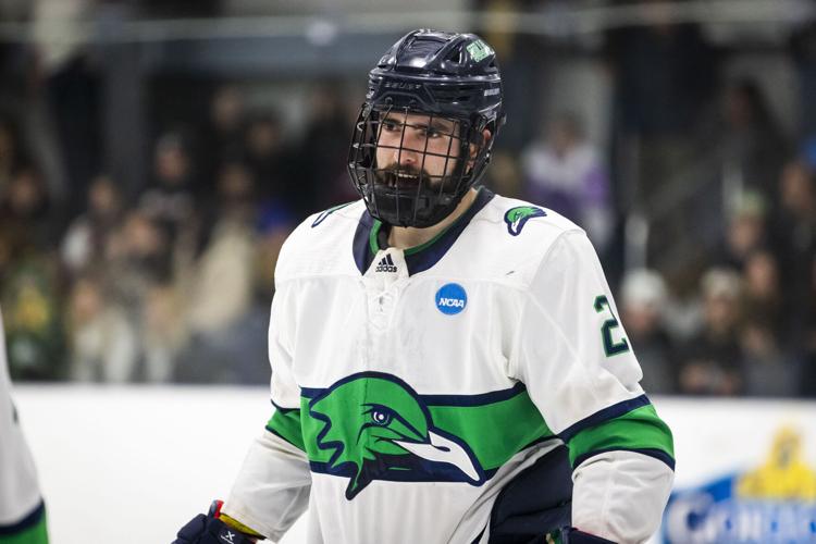 Endicott Frozen Four notebook Bourque Arena takes on a new look for