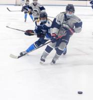 Kick Saves: Super future? Could there be a Division 1A tournament on the horizon for girls hockey?