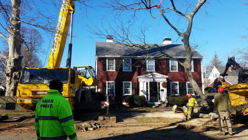 Historic Tree To See New Life At Artists Row Local News Salemnews Com