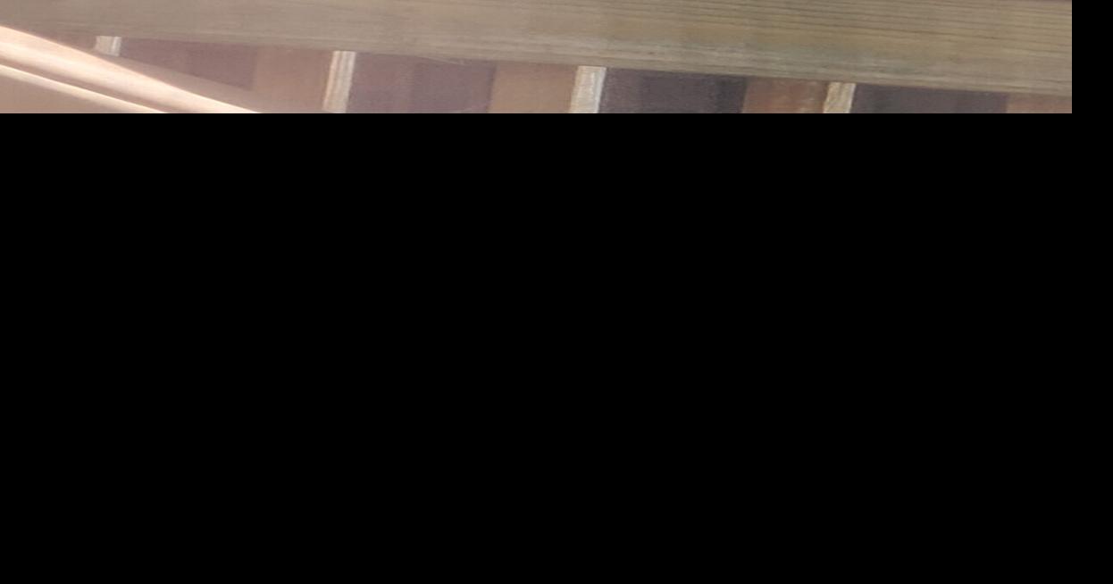 FBI raids shop, home of dollmaker News