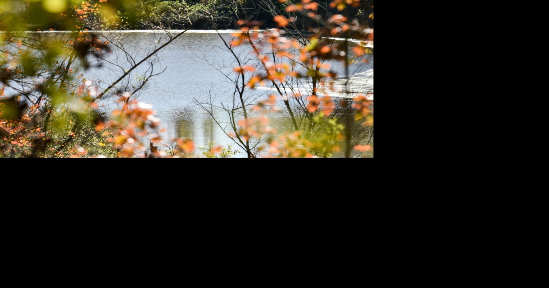 ConCom meeting talking Ingemi land postponed Local News salemnews com