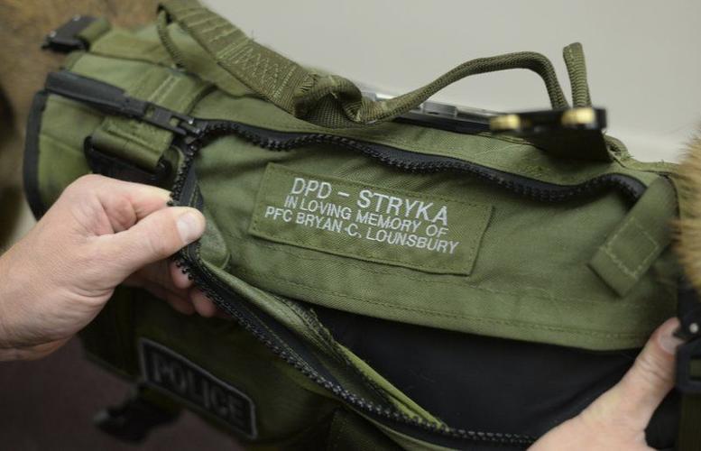 Dog vest donation comes with layers of meaning Local News