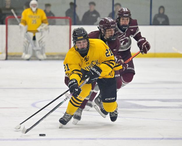 The Blue Line Report: What our area hockey teams need to do in the ...