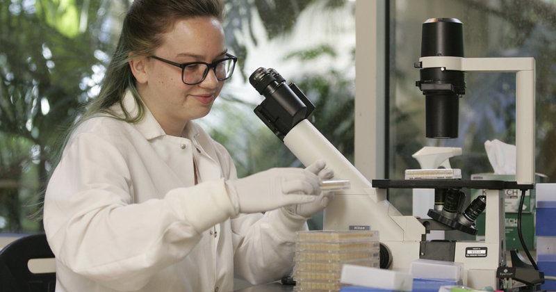 Cell Signaling Technology's internship program gives students hands-on ...
