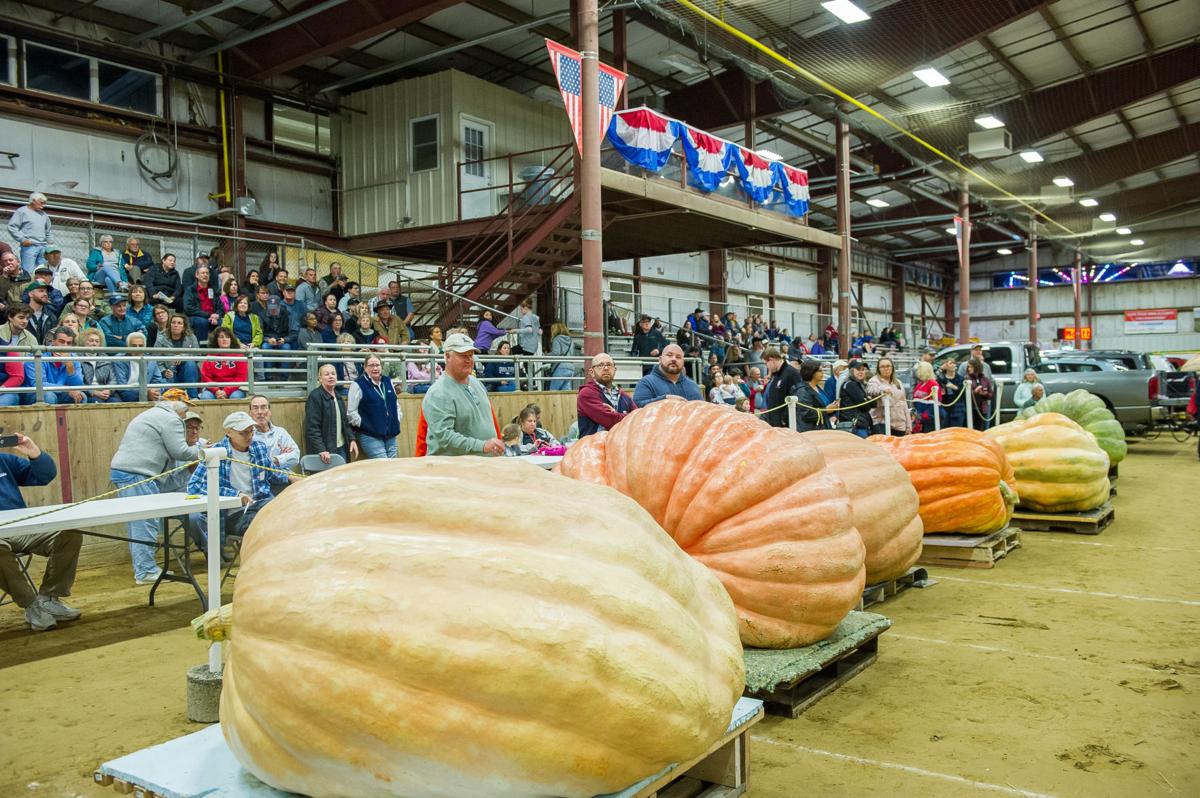 SLIDESHOW Giant Pumpkin Weigh Off Topsfield Fair Gallery