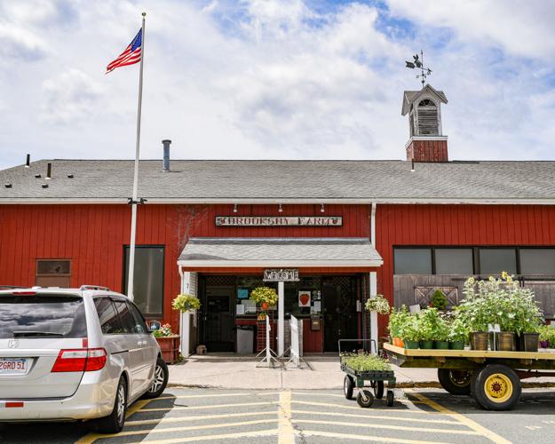 Remember a farm in Peabody? Historians want to know News