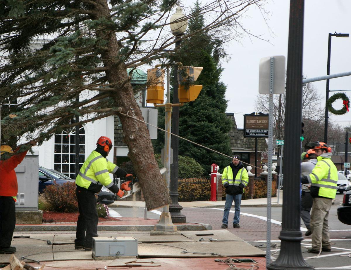 Slideshow The Christmas tree is brought to Danvers Square Multimedia