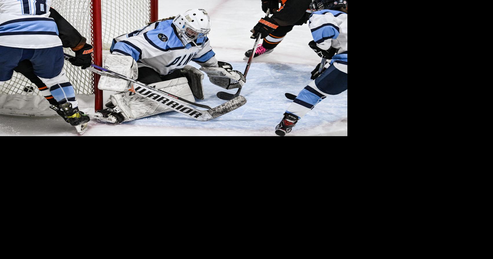 Kick Saves girls hockey column: Looking back at the season's best ...
