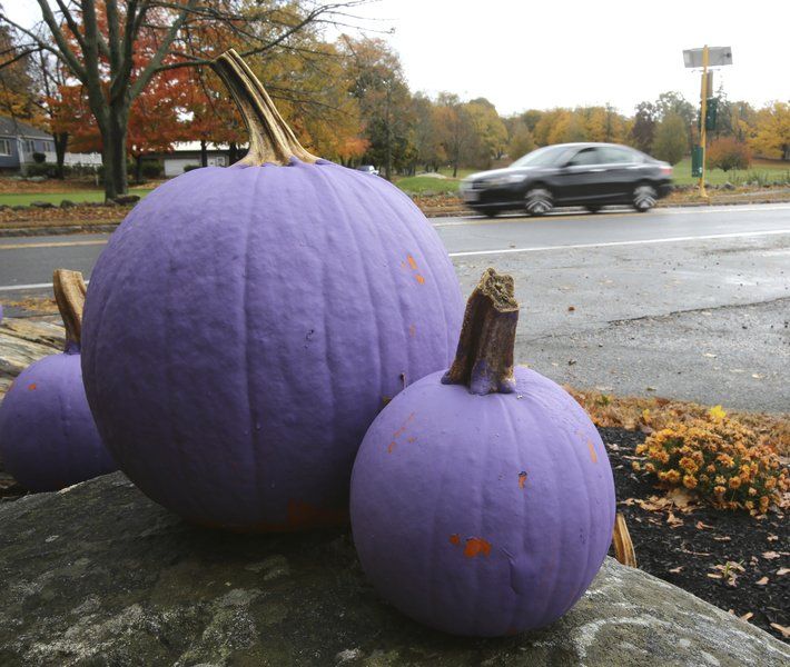 Pumpkins painted purple for Wenham family, epilepsy | Local News