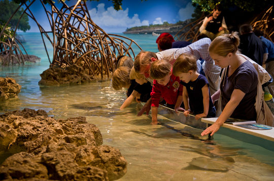 Rays Touch Tank