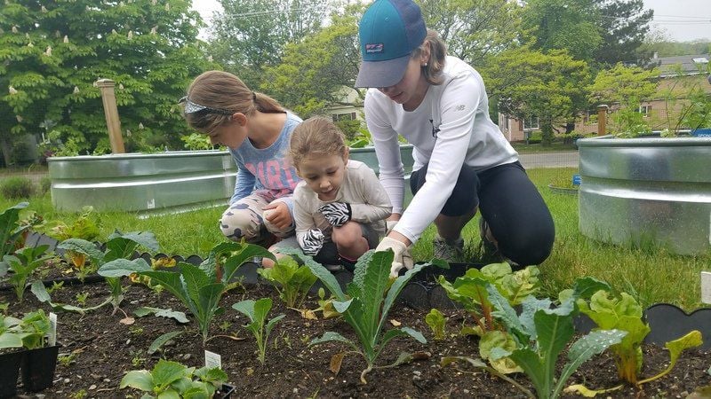Volunteers Plant Garden For Local Food Pantries Local News