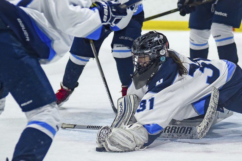 Kick Saves: Ice Envy: Which rinks are among the favorites for North ...