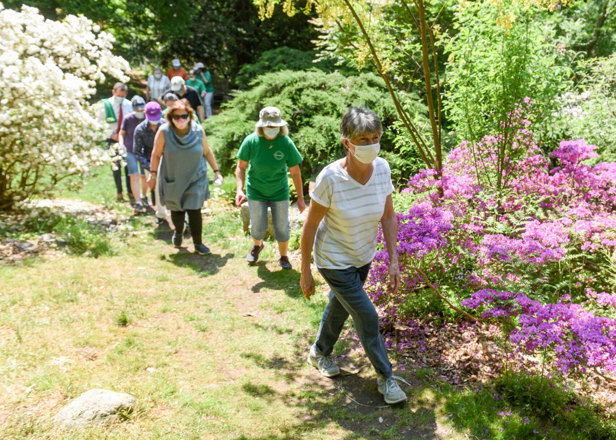 Beverly Council on Aging's Walk in the Woods