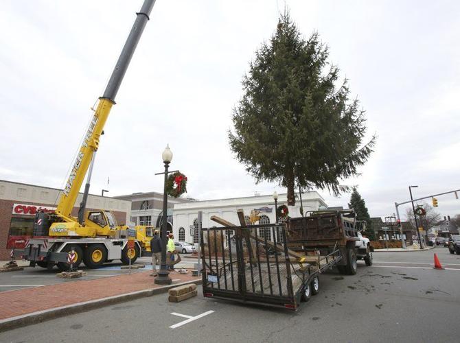 A 'perfect Christmas tree' for Danvers Square Local News