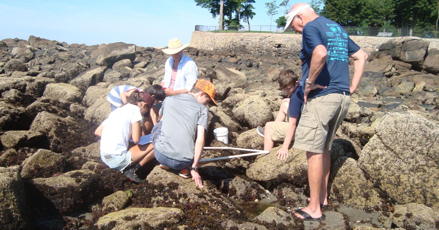 Massachusetts's Marine Invaders Call for Eyes on the Water - Vimarsana News