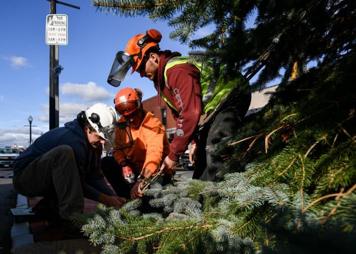 SLIDESHOW Holiday Tree installed in Downtown Danvers Community