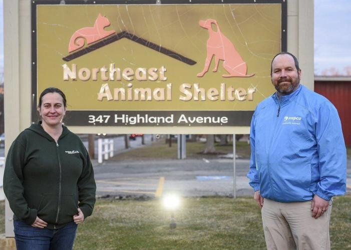 Northeast Animal Shelter merges with MSPCA | Local News 