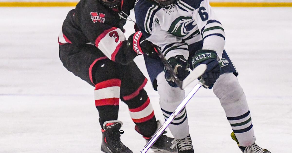 The Blue Line Report: Facts and stats can tell us a lot | Sports ...