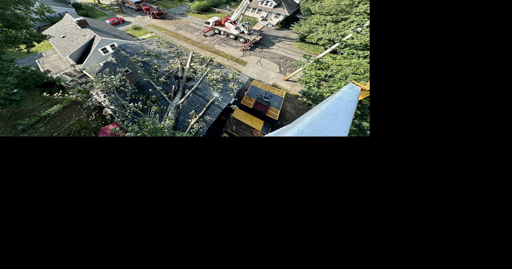 Storm downs trees, power lines