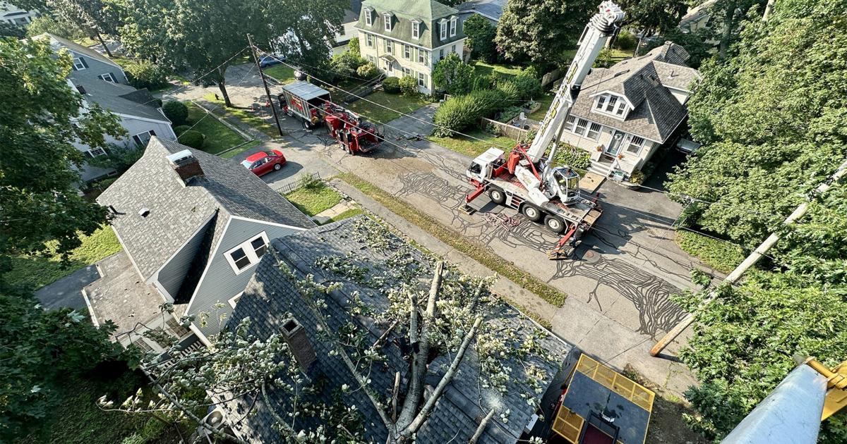 Storm downs trees, power lines