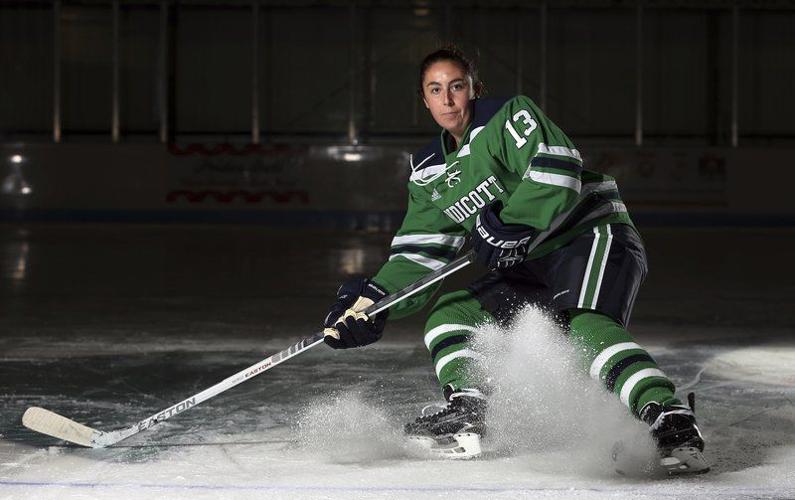 Endicott, Salem State women's hockey programs ready to launch