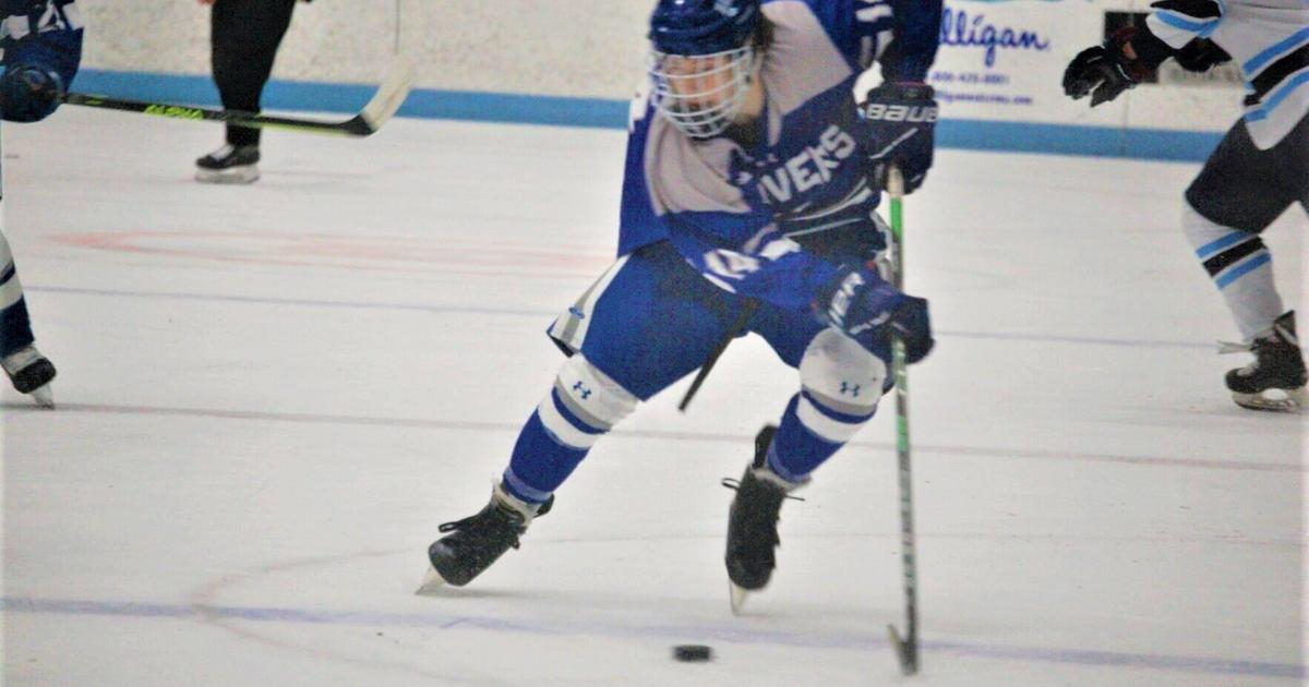 The Blue Line Report: Looking at what lies ahead for our boys hockey ...