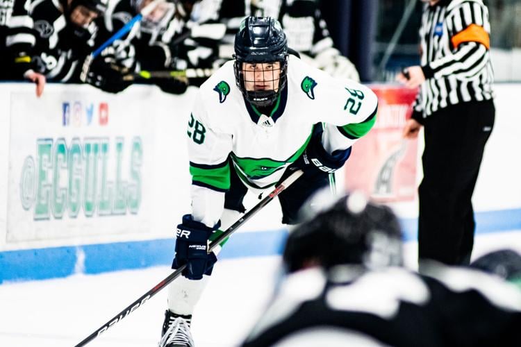 By the numbers Looking at Endicott men's hockey leading into this
