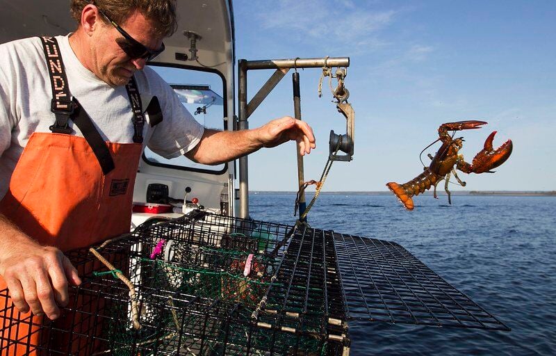 Massachusetts fishermen struggling as federal, state regulations hinder  livelihood