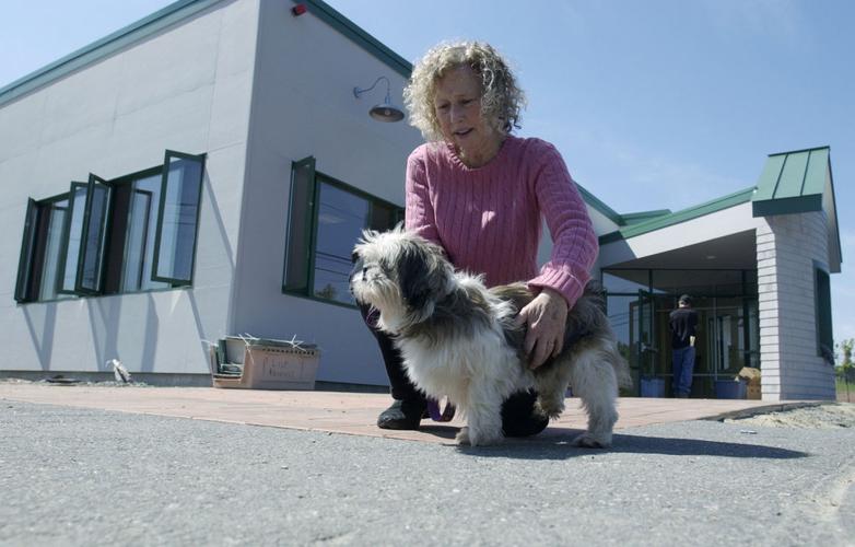 Salem animal shelter moves to new home | Archives 