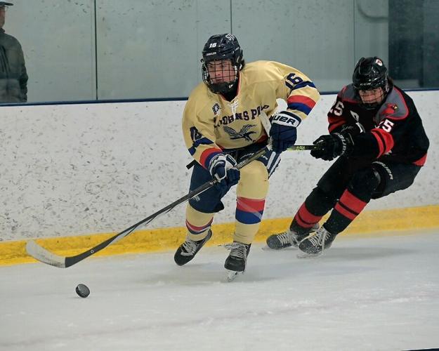 The Blue Line Report: Team-by-team looks at the 2025-26 boys hockey ...