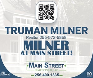 300x250 image ad advertisement