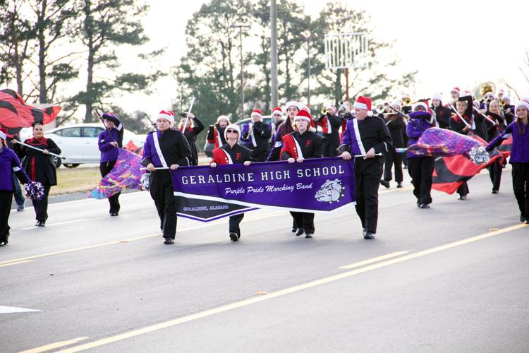 Scenes from the Geraldine Christmas parade Free Share