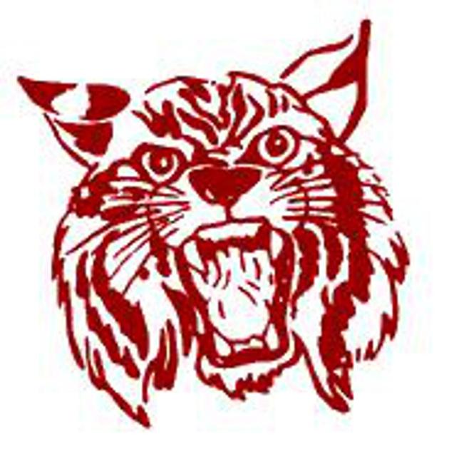 SandMountainReporter.com - PLAYOFF BASEBALL: Guntersville swept by Ardmore with Game 2 walk-off image