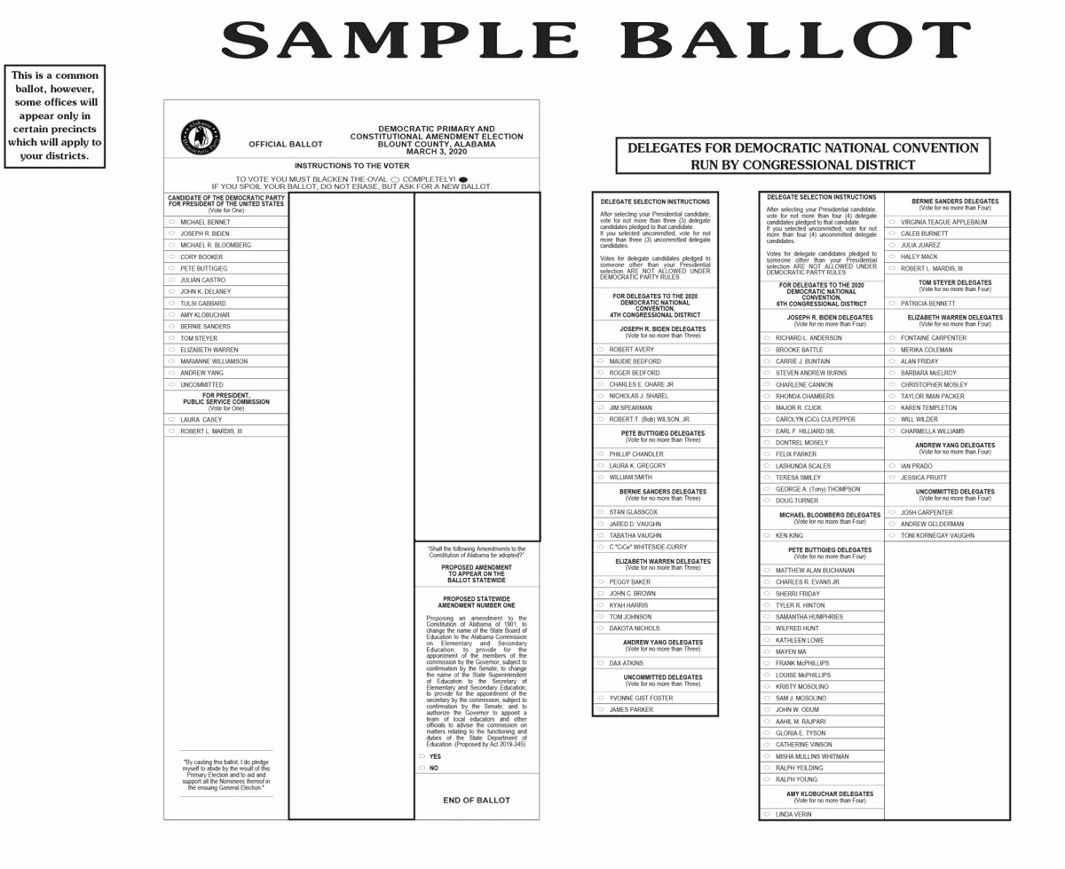 Sample ballots for 2020 primary elections ...