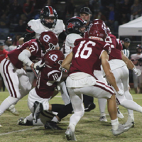 SandMountainReporter.com - All Wildcats image