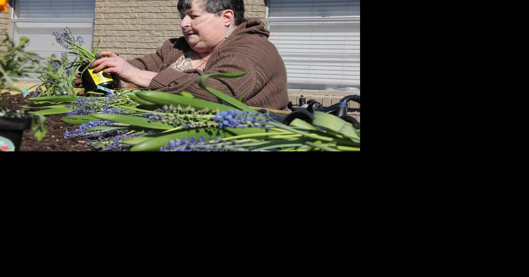 Spring Accessible Boaz FFA builds raised box gardens for Diversicare