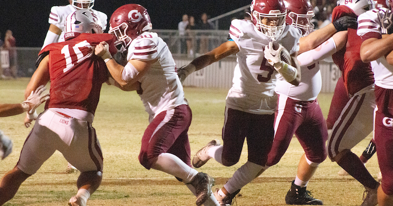 SandMountainReporter.com - Wildcats shut out Sardis to claim 5A, Region 7 championship image