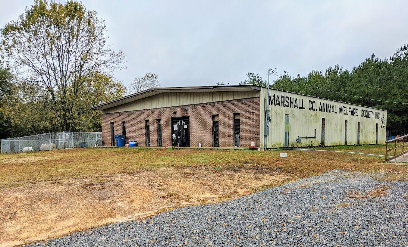 ‘We are not a no kill shelter’ Marshall County Commission debates