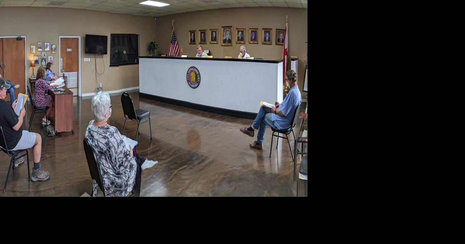 Geraldine council appoints election officials News