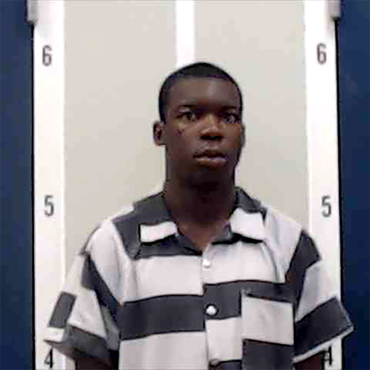 Pair of thieves arrested in DeKalb County News