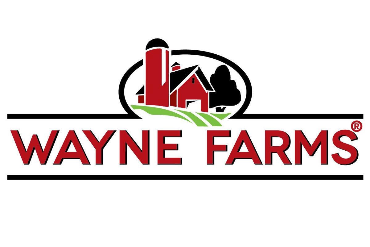 Wayne Farms parent company acquires Sanderson Farms Wayne Farms CEO