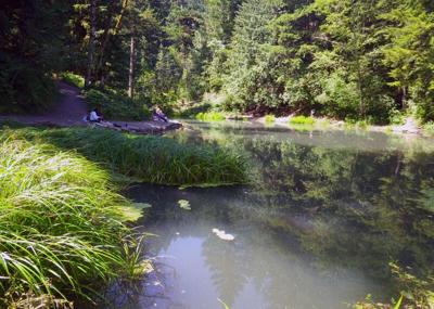 Free youth fishing event at Small Fry Lake in Promontory Park near  Estacada, OR