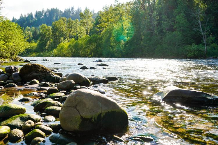Sandy River from Dodge Park