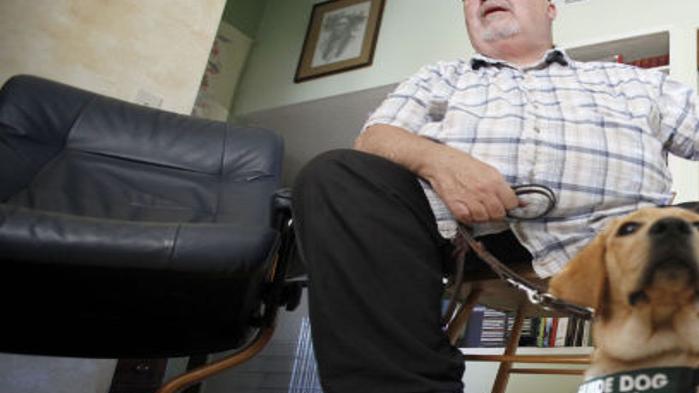 Couple Hooked On Raising Guide Dogs Local News Santamariatimes Com