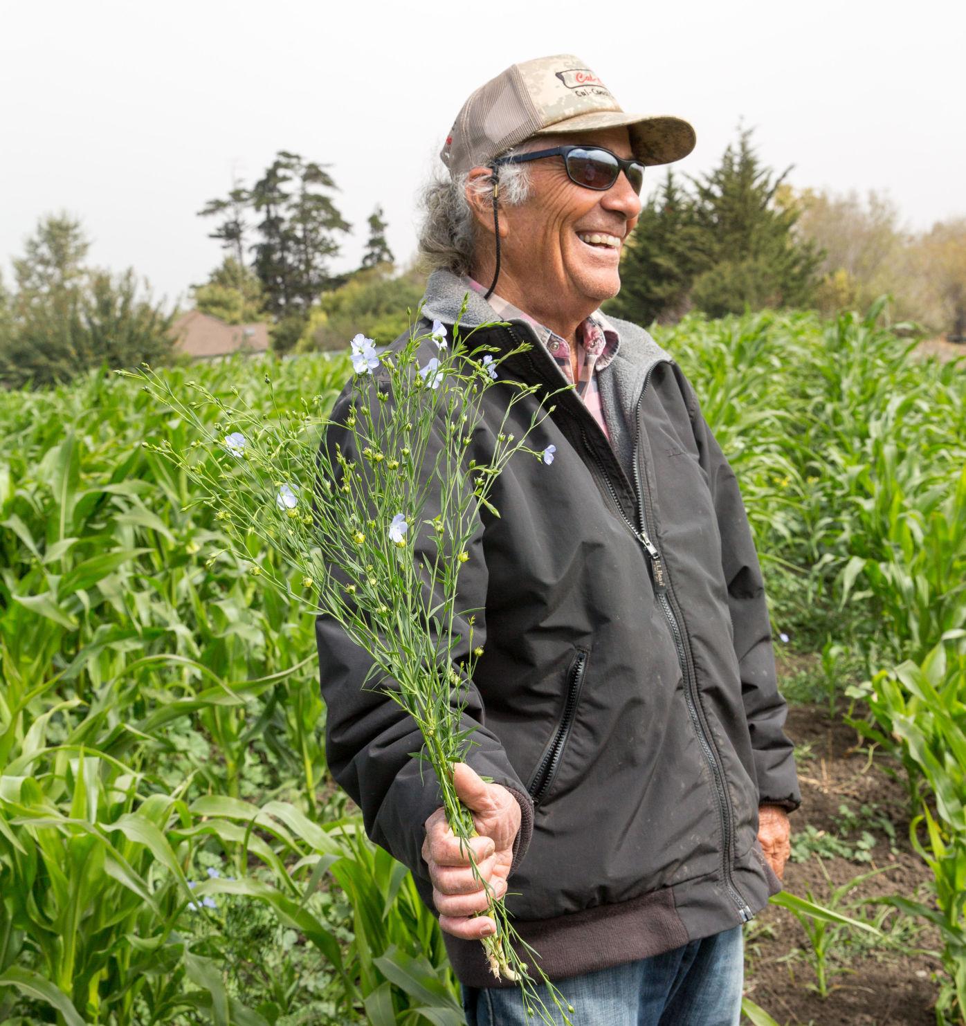 Farm To Table Kandarian Organic Farms Sows Seeds Of Ancient Grains Local News Santamariatimes Com