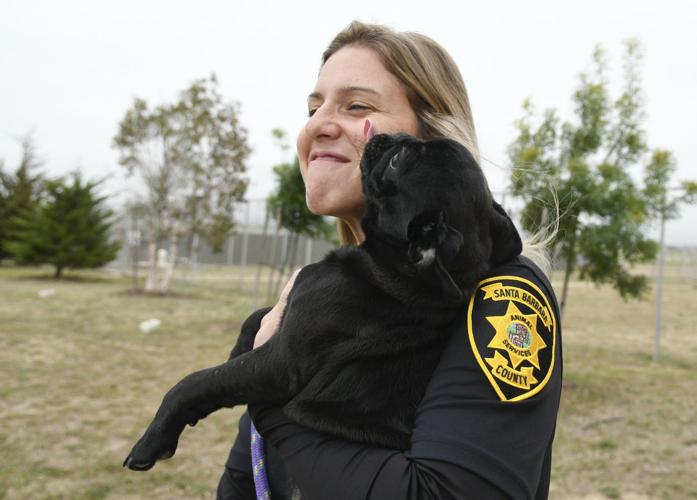 On the road with Santa Barbara County Animal Services: Officer deals with  strays, reflects on changes over years | Local News 